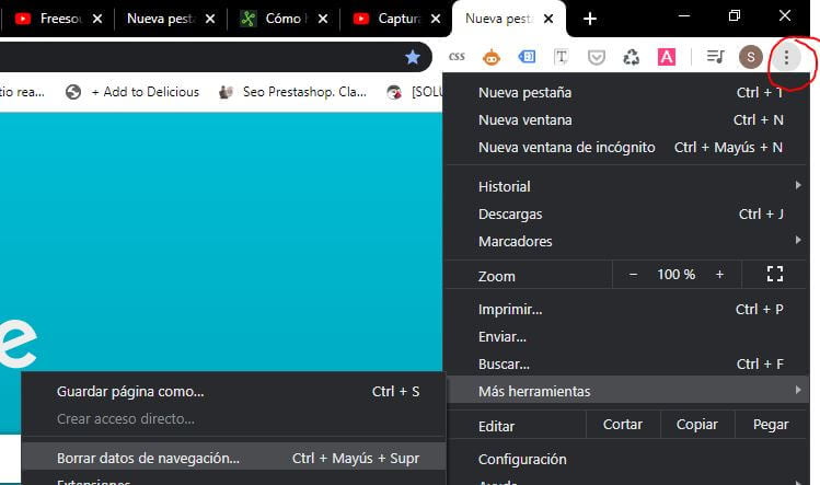 borrar caché chrome evitar conflictos wordpress