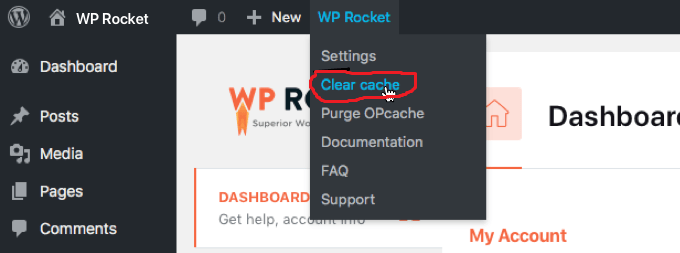 Borrar caché del plugin WP Rocket