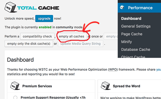 Borrar caché del plugin W3 Total Cache
